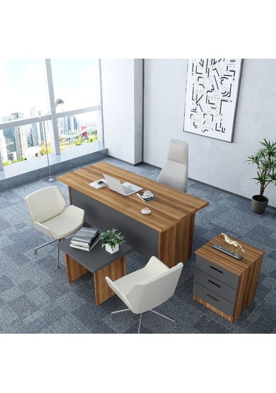 Asil 3'lü Ofis Takımı  Model 9 Ceviz Füme