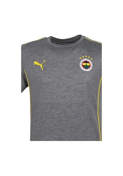 Fenerium Fenerbahçe Puma Fenerbahçe Grı Tshırt Uv Ahşap Kutu Gri