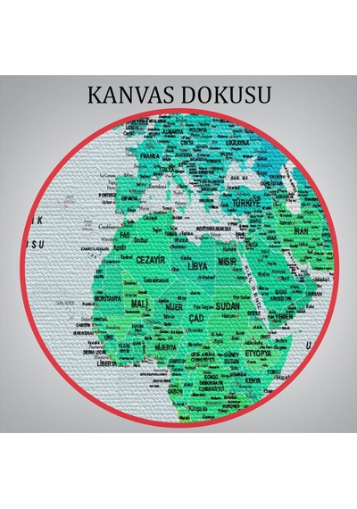 Es10 Türkçe Detaylı Dünya Haritası Dekoratif Renkli Zeminli Kanvas Tablo 1709 (95 x 165)