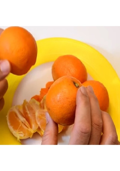 Tüplü Yoğun Kokulu Finike Beyaz Limon  Fidanı
