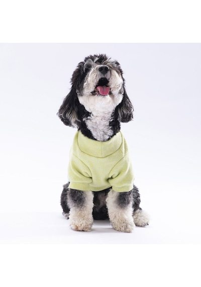 Pawstar Yellow Merino Sweat Medium 26x28x41 Cm