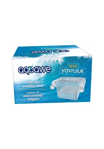 Akvaryum Tekli Yavruluk