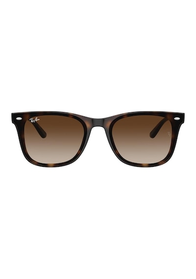 Ray-ban 0rb4420 710/13 65 Unisex Güneş Gözlüğü