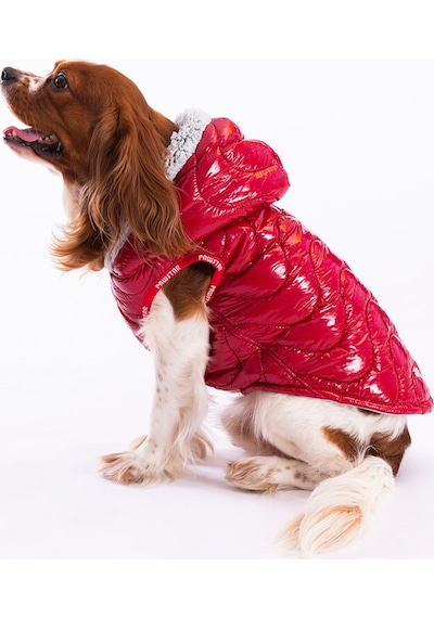 Pawstar Kırmızı Light Wave Anorak Yelek Köpek Yeleği