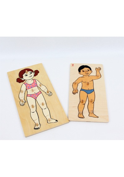 Vücudumuzu Tanıyalım Puzzle Ahşap Akıl Ve Zeka Oyunları Kız Ve E
