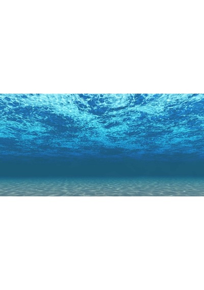 Kanki Pet 125 cm KP1256308 Akvaryum Arka Fon Yapıştırma 125x63 cm