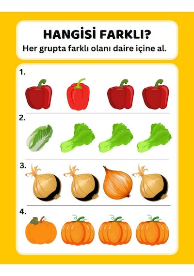 Okul Öncesi Farklı Olanı Bul Yaz-sil Kitabı