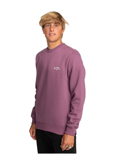 Billabong Arch Erkek Sweatshirt Mor Çok Renkli