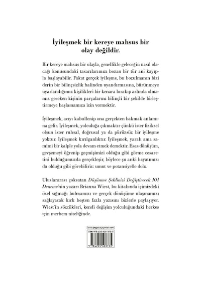 Hazır Olduğunuzda İşte Böyle İyileşirsiniz / Brianna Wiest