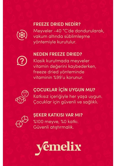 Freeze Dried Şeftali Kuru Meyve Cipsi - Dondurularak Kurutulmuş Şeftali 15g 15 G