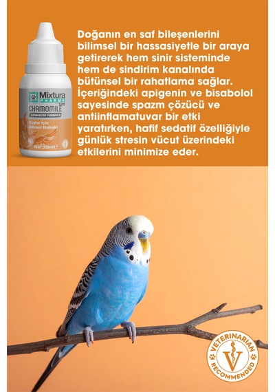 Mixtura Pharma Bird Chamomıle