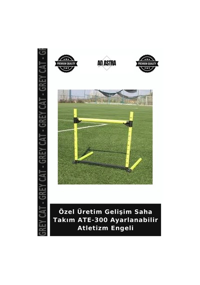 Özel Üretim Gelişim Saha Takım Ate-300 Ayarlanabilir Atletizm Engeli Çok Renkli