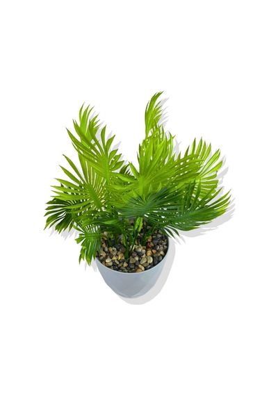 Cihan Çiçekçilik Yapay Mini Saksıda Çikas 28 Cm Açık Mavi Saksı Beyaz- Yeşil