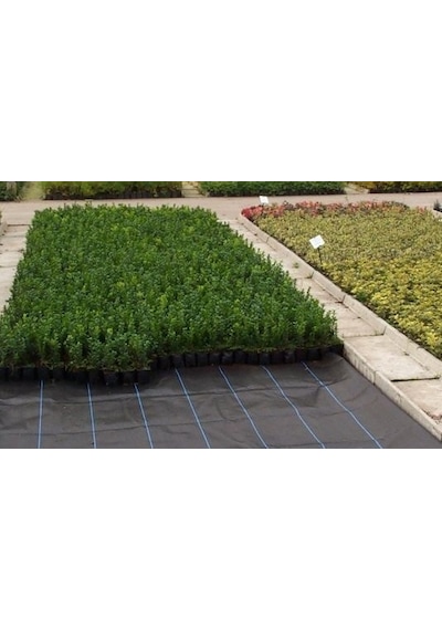 Taban Örtüsü 3X20 M Siyah Jüt Yer Taban Örtüsü