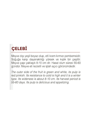 AGRodal Tarım Yerli Doğal BeyazKırmızı Turp Çelebi 500 Adet Tohum