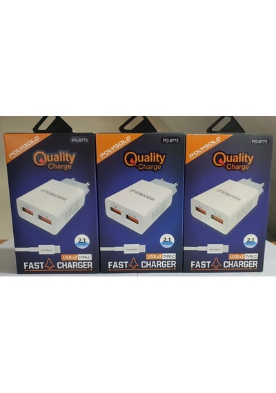 POLYGOLD PG-8773 ÇİFT USB 2,1 A. TYPCE Set Şarjı