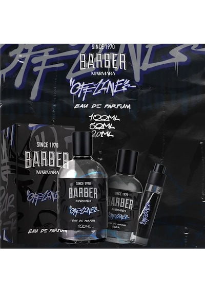 Offline 100 Ml Parfüm
