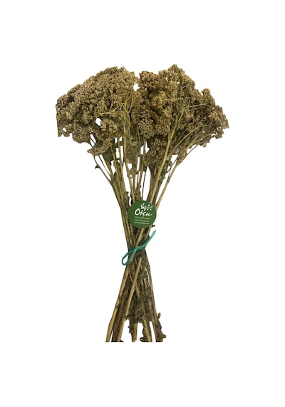 Beyaz Civanperçemi 75 Gr