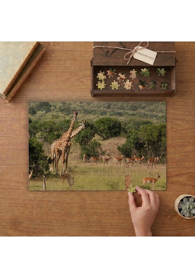 Afrika Ormanları - Zürafalar Ve Geyikler Tasarımı 240 Parça Ahşap Puzzle Ahşap Kutuda Mpy40392