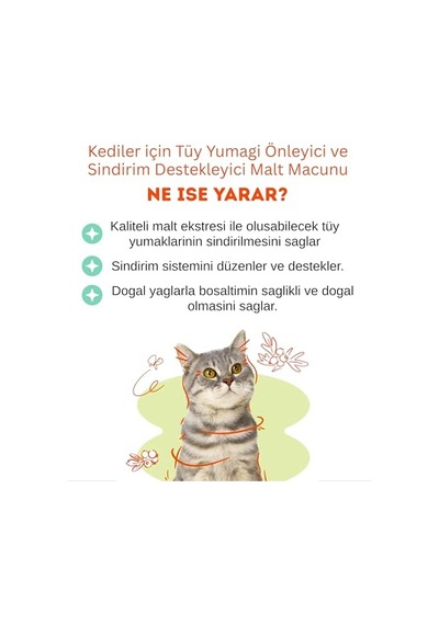 Catappa Yaprağı Xxl 32 Cm