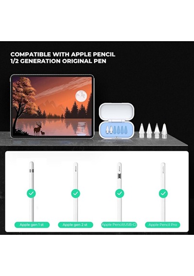 Apple Pencil Uyumlu Yedek Kalem Uçları 6 Lı Set Özel Taşıma Kutulu Pembe