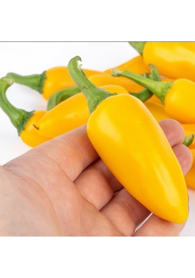 Yellow Jalapeno Çok Acı Biber Tohumu 15 Tohum