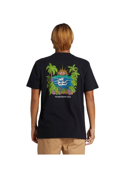 Quiksilver Aqyzt09543 Island Sunrise Moe Erkek Tişört 001