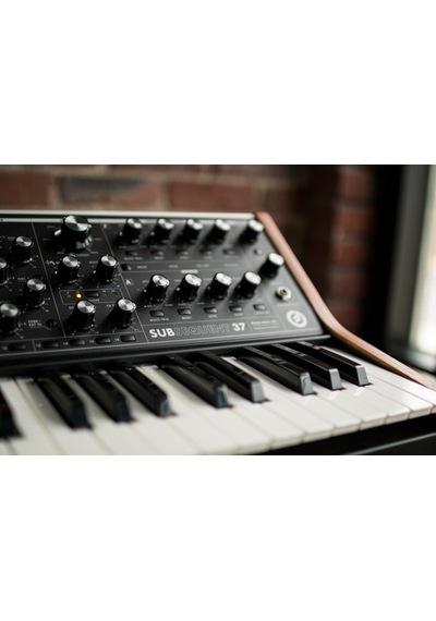Moog Subsequent 37 Analog Synthesizer