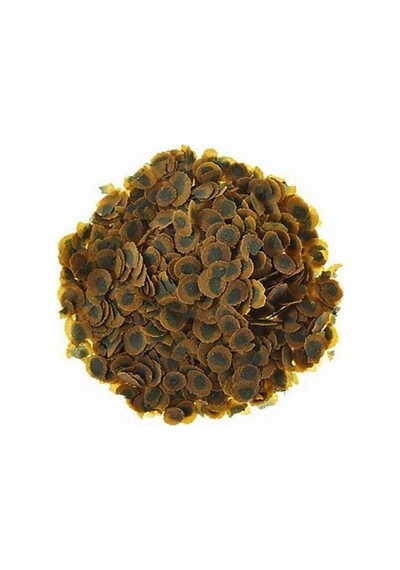 Tetra Pro Algae Açılmamış Kova 10 L 1900 Gam