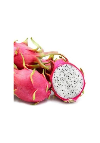 Tropikal Saksılık Pitaya Tohumu 5 Tohum Ejder Meyvesi Tohumu Pithaya