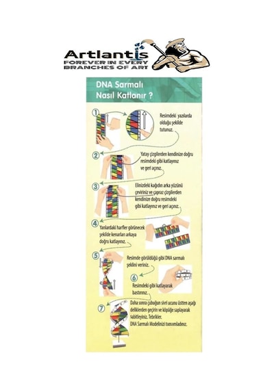 Dna Modeli 1 Paket Kartondan Dna Yapım Seti Dna Sarmalı Deney Yapım Seti Okul Materyali Fen Bilimleri