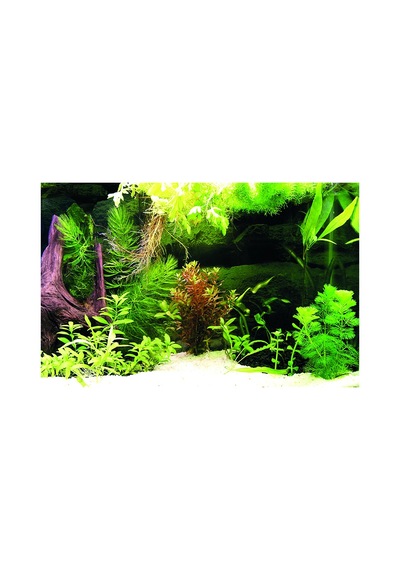 Kanki Pet Kp7045036 Akvaryum Arka Fon Yapıştırma 70 X 45 Cm