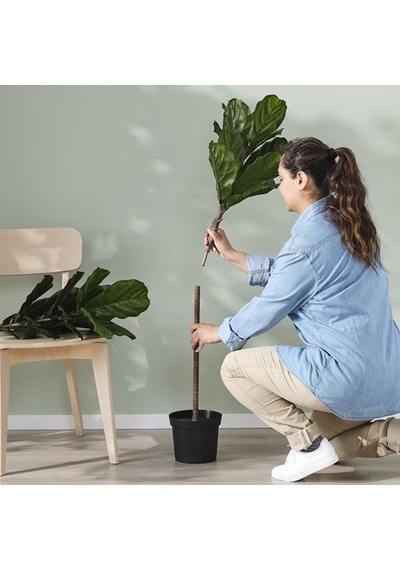 Ikea Fejka Yapay Bitki, Yeşil, 19 Cm, İç/dış Mekan Pandora Kauçuğu Bitkisi