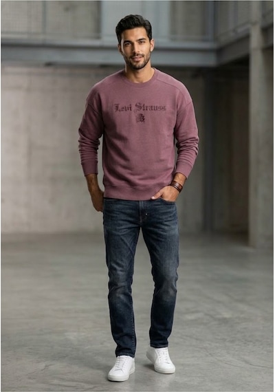 Levi's Regular Fit Pamuk Kumaş Erkek Standart Grafikli Sweatshirt -0157 Bordo