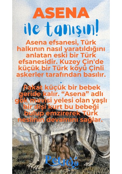Petjoo 25.Asena Mavi-Turuncu Qr'lı Köpek Künyesi