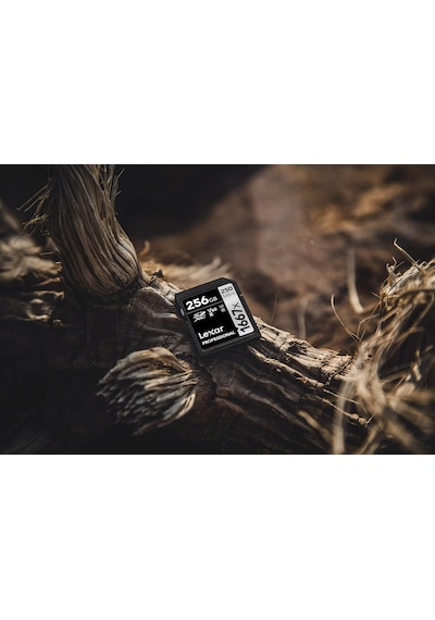 Lexar Professional 1667x Sd Kart 256 Gb, Sdxc Uhs-ıi Bellek Kartı