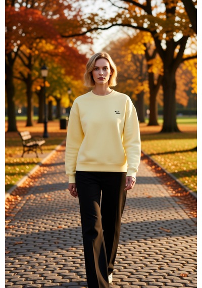 Benerly Kadın Bisiklet Yaka Düşük Kol Nakışlı Örme Sweatshirt Fonksiyonel Açık Sarı