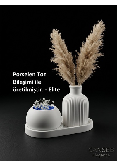 Üçlü Dekoratif Sukulent Saksı & Çizgili Pampas Vazosu Seti 09119372