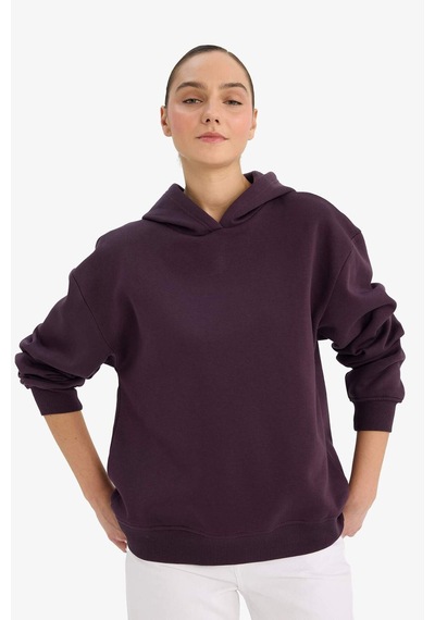 Defacto Relax Fit Kapüşonlu Basic Düz Kalın Sweatshirt D9935ax25wnpr38 Mor-pr38