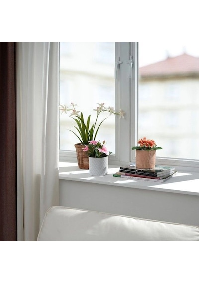 Ikea Fejka Saksılı Yapay Çuha Çiçeği 16 Cm Siyah Yeşil Bordo Beyaz Çok  Renkli