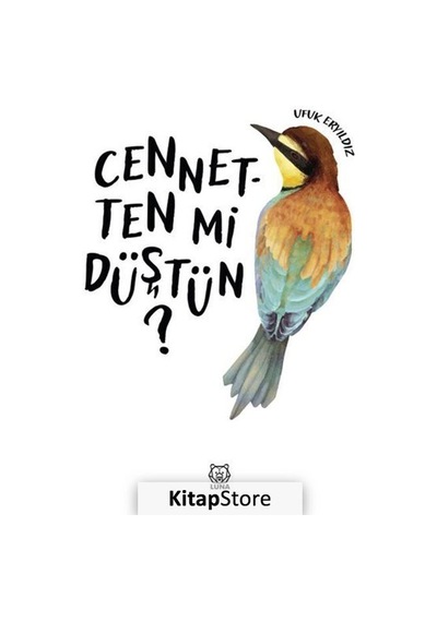 Cennetten mi Düştün? - Ufuk Eryıldız - Luna Yayınları