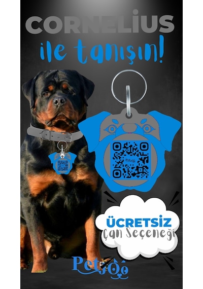 Petjoo 20.Cornelius Mavi-Gri Qr'lı Köpek Künyesi