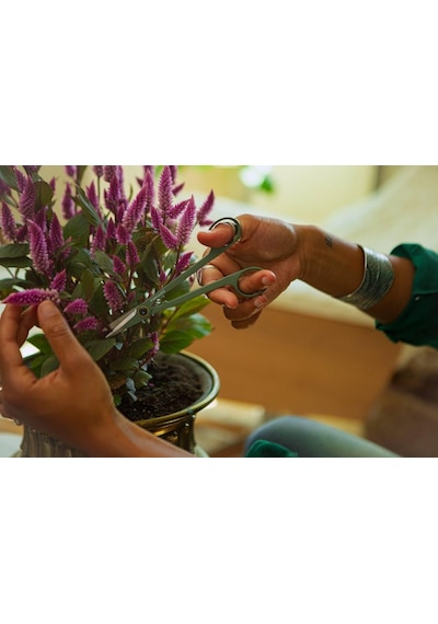 Urban Plant Care, Tutuculu Küçük Bitki Makası, Oda Bitkilerinde İnce Kesimler İçin, Toplam Uzunluk 17 Cm, Paslanmaz Çelik/plastik, Koyu Yeşil/siyah, 1075315