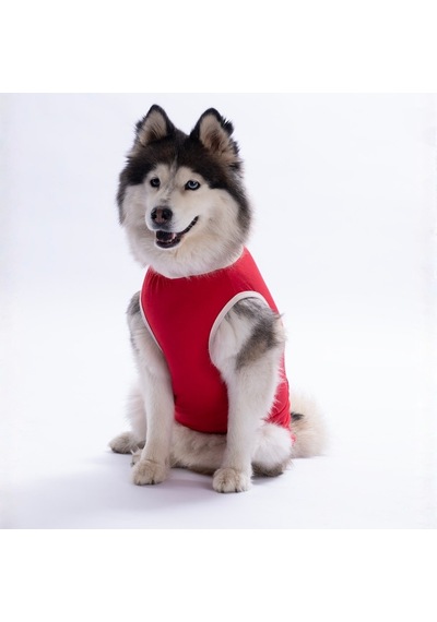 Kırmızı Turtley Over It Büyük Köpek Tişörtü - Köpek Kıyafeti 15 Kg-45 Kg