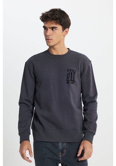 Regular Fit Normal Kesim Bisiklet Yaka İçi Polarlı Antrasit Sweatshirt Faded Black-l24216633w Regular Fit Normal Kesim Bisiklet Yaka İçi Polarlı Antrasit Sweatshirt Faded Black-l24216633w