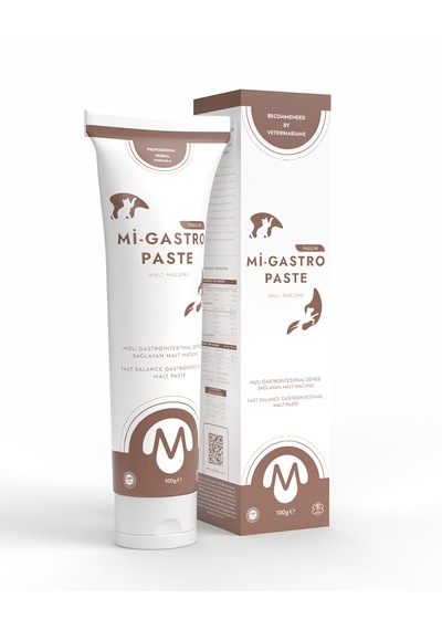 Miniklisi Mi-gastro Paste Mide Bağırsak Malt Macunu 100 G