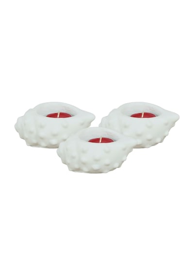 Mumluk Şamdan 3 Adet Tealight Uyumlu Deniz Kabuğu Mum Model - Beyaz