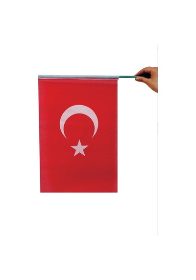 Plastik Sopalı Alpaka Bez Türk Bayrağı 20x30 Cm 10 Lu Set Tek Ebat