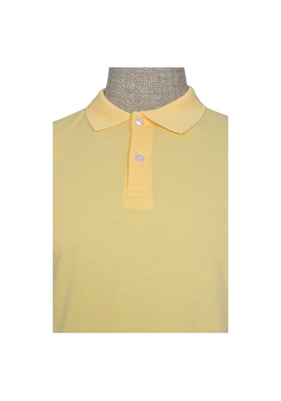 Cengiz İnler Polo Yaka Düz T-Shirt Slim (548482330)