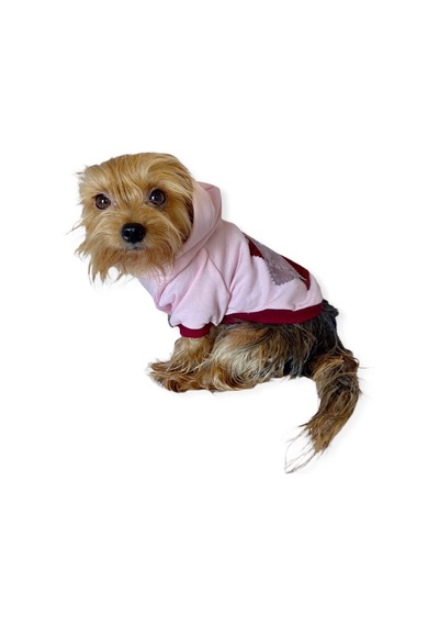 Kemique Pink Burgundy Bee Kapşonlu Köpek Sweatshirt Kemique Pink Burgundy Bee Kapşonlu Köpek Sweatshirt
